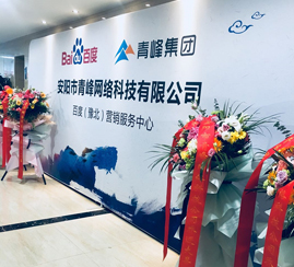 安阳市青峰网络科技有限公司